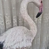 فلامینگو دکوری|مجسمه، تندیس، ماکت|اراک, |دیوار