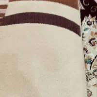 گلیم|گلیم، جاجیم، گبه|نهاوند, |دیوار