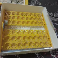 فروش دستگاه جوجه کشی ۴۸تایی نو بدون استفاده