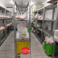 تجاری 350متر /تاپ لوکیشن