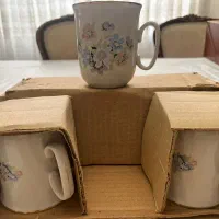 ظروف پذیرایی