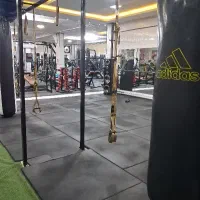 تناسب اندام ویژه بانوان