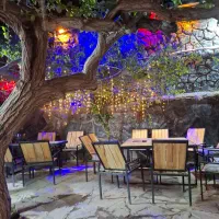 نیازمند نیروی ظرف شور ساعت کاری ۲ساعت در روز