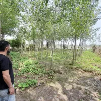 زمین-مسکونی-روستای-بین-کلایه-آماده-گرفتن-جواز-و