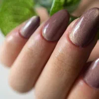 تخفیف ویژه از روز مادر تا یلدا