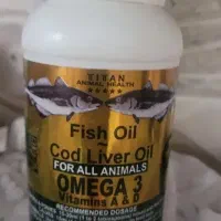 وسایل سگ وگربه