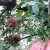 درمان استرس و اضطراب