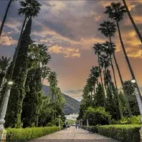 استخدام نیرودرشمال کشورشهررامسرحقوق ۳۰میلیون تومان