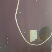 هود|هود|بندر ماهشهر, |دیوار