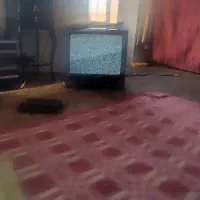 تلوزیون پارس ۲۱ اینچ|تلویزیون و پروژکتور|همدان, |دیوار