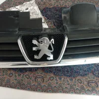 خطر اس ال ایکس و جلو پنجره|قطعات یدکی و لوازم جانبی|سیرجان, |دیوار