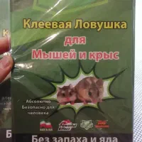 چسب موش کیان