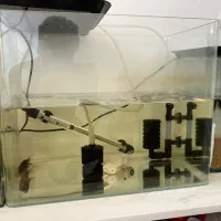 آکواریوم|ماهی|تهران, تهرانسر غربی|دیوار