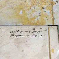 شوینده|مواد شوینده و دستمال کاغذی|جم, |دیوار