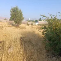 فروش-باغ-شهری-در-سیخ