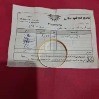 طلابدون اجرت|جواهرات|قیامدشت - خاورشهر, |دیوار