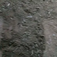 کود مرغی گوشتی سالنی|خدمات باغبانی و درختکاری|سارال, |دیوار