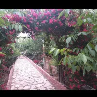 باغچه ۳۰۰ متری دلنشین در فیروز بهرام