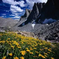 کوه نوردی و طبیعت گردی