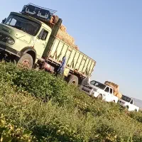 بنز ... یک نیم دانگ بنز مدل 60