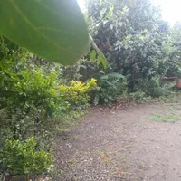 اجاره روزانه/هفتگی/ماهانه ویلا سوییت ۱۳۰متری دربست|اجارهٔ کوتاهمدت ویلا و باغ|چوبر, |دیوار