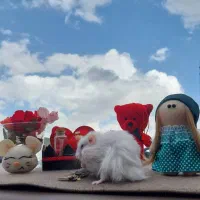 تعدادی همستر سوری تمیز و دستی|موش و خرگوش|شیراز, میانرود|دیوار