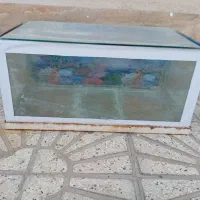 آکواریوم سالم|ماهی|قوچان, |دیوار