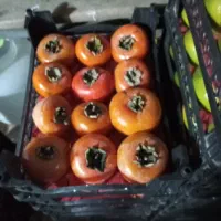 خرمالو
