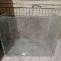 اکواریوم