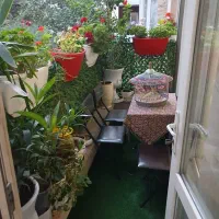 98مترمهرشهر-میلادنوین-2