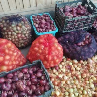 پیاز ترشی ومصرفی