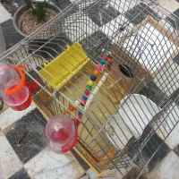 قفس کوچک ۲۴در۳۱