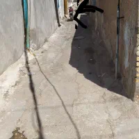 خانه ویلایی کوی مجاهدین