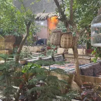 جذب نیرو کار