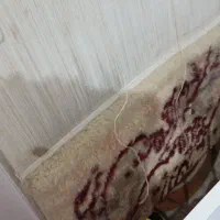 دارقالی.تابلو فرش|تابلو فرش|گلبهار, شهر جدید گلبهار|دیوار