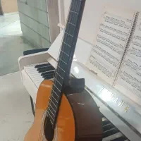 گیتار آریا AK15|گیتار، بیس، امپلیفایر|گرگان, |دیوار