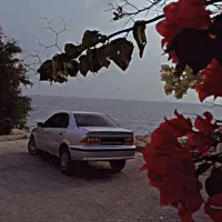 سمند مدل ۸۳ بکر|خودرو سواری و وانت|جهرم, |دیوار