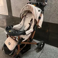 کالسکه دلیجان|کالسکه و لوازم جانبی|تهران, هروی|دیوار