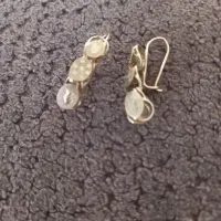 گوشواره بیرونی  ۲ گرم و۲۷۰ سوت