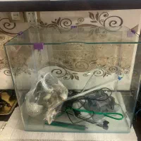 اکواریوم شیشه خم