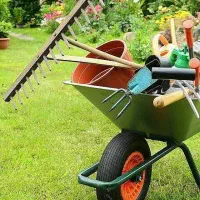 خرید چوب باغی.هرس .کوددهی.قطع درخت