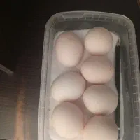 تخم نطفه دار لاری