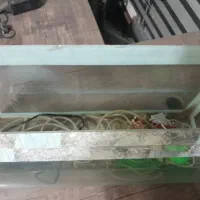 آکواریوم همراه با پمپ|ماهی|مشهد, کلاهدوز|دیوار