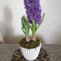 سنبل خمیری|گل مصنوعی|کرمانشاه, |دیوار