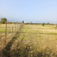 ۳۰۰۰زمین باغی ومزروعی