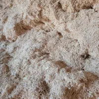 کاه گندم|لوازم جانبی حیوانات|آبکوه, |دیوار