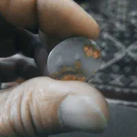 فروش سنگ شجر