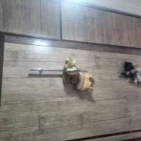 تخت و کمد کم جا دیواری