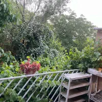 اقامتگاه بوم گردی سپیدان|اجارهٔ کوتاهمدت ویلا و باغ|سپیدان, |دیوار