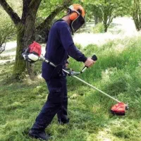 کلیه ی خدمات فضای سبز بابیش ازده سال تجربه|خدمات باغبانی و درختکاری|شیراز, باغ تخت|دیوار